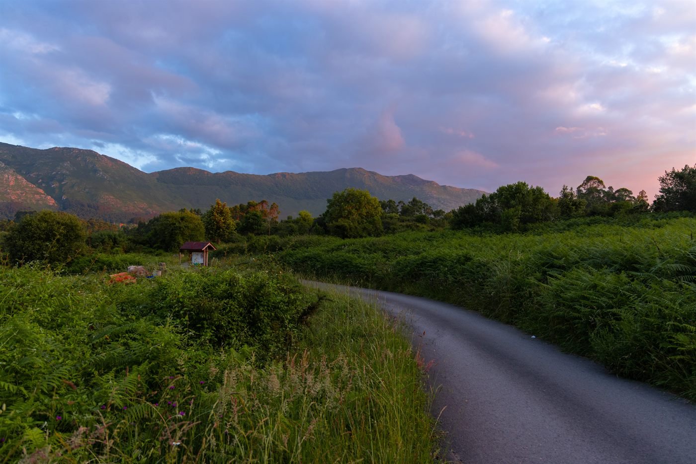 Camino de campo al atardecer en Asturias