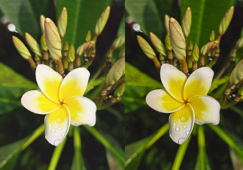 Antes y después del preset Neutral
